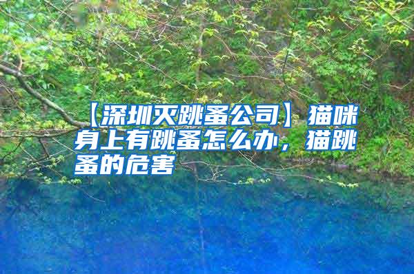 【深圳滅跳蚤公司】貓咪身上有跳蚤怎么辦，貓?zhí)榈奈：?/></p>
             <p style=