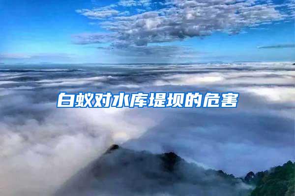 白蟻對水庫堤壩的危害