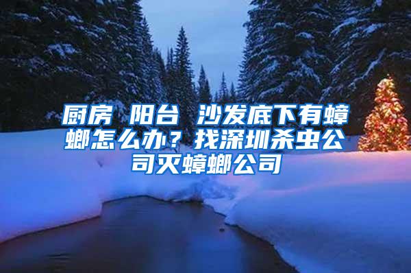 廚房 陽臺 沙發(fā)底下有蟑螂怎么辦？找深圳殺蟲公司滅蟑螂公司