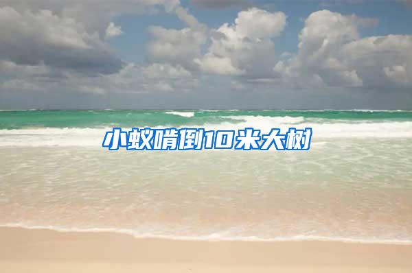 小蟻啃倒10米大樹(shù)