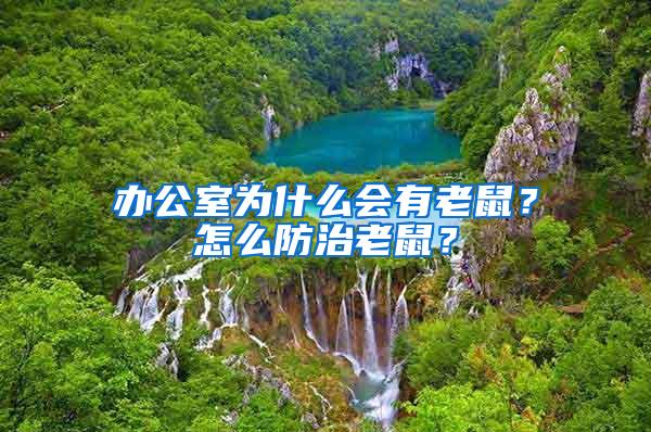 辦公室為什么會有老鼠？怎么防治老鼠？