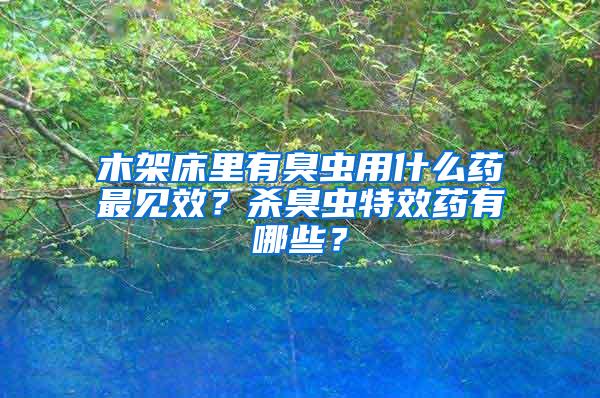 木架床里有臭蟲用什么藥最見效？殺臭蟲特效藥有哪些？