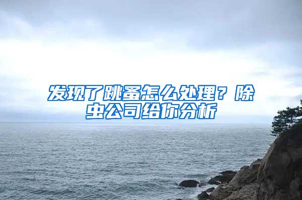 發(fā)現(xiàn)了跳蚤怎么處理？除蟲(chóng)公司給你分析