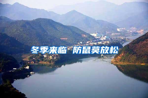 冬季來(lái)臨 防鼠莫放松
