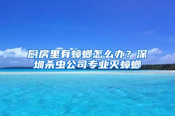 廚房里有蟑螂怎么辦？深圳殺蟲公司專業(yè)滅蟑螂