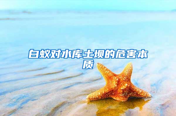 白蟻對水庫土壩的危害本質