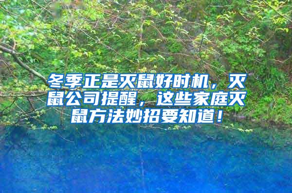 冬季正是滅鼠好時機，滅鼠公司提醒，這些家庭滅鼠方法妙招要知道！