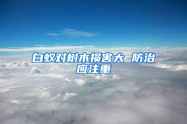 白蟻對(duì)樹(shù)木損害大 防治應(yīng)注重