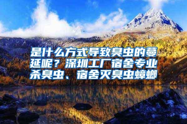 是什么方式導(dǎo)致臭蟲的蔓延呢？深圳工廠宿舍專業(yè)殺臭蟲、宿舍滅臭蟲蟑螂
