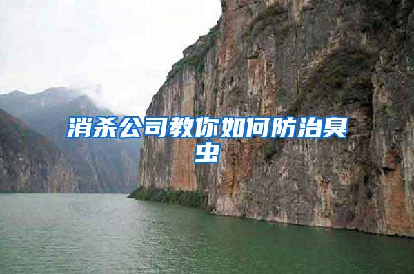 消殺公司教你如何防治臭蟲
