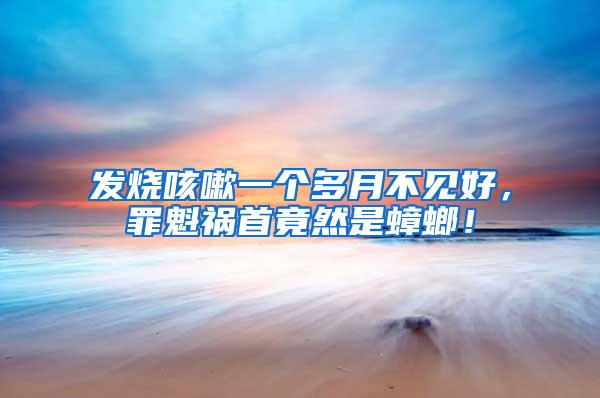 發(fā)燒咳嗽一個(gè)多月不見(jiàn)好，罪魁禍?zhǔn)拙谷皇求耄?/></p>
             <p style=