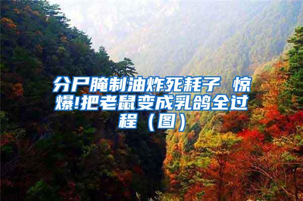分尸腌制油炸死耗子 驚爆!把老鼠變成乳鴿全過(guò)程（圖）