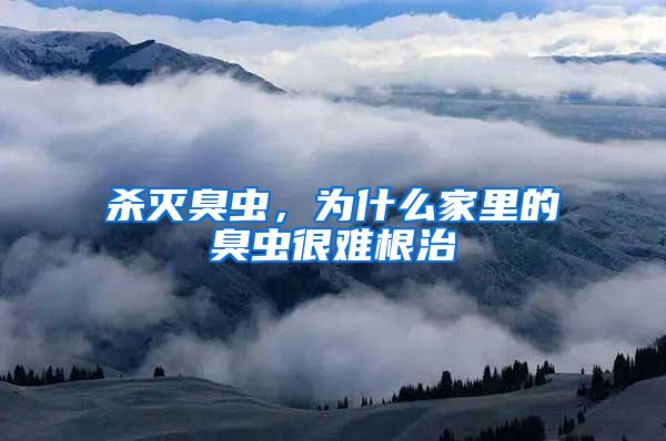 殺滅臭蟲，為什么家里的臭蟲很難根治