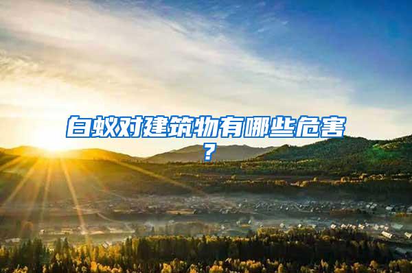 白蟻對建筑物有哪些危害？