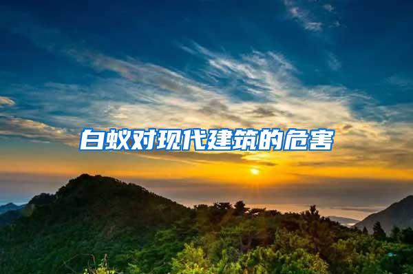 白蟻對現代建筑的危害