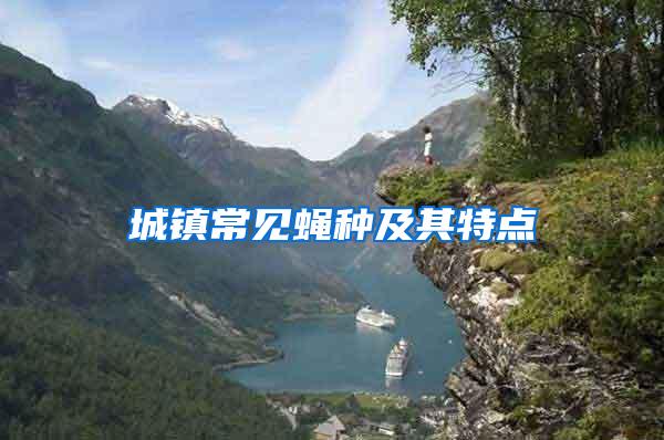 城鎮(zhèn)常見蠅種及其特點(diǎn)