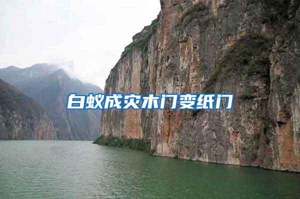 白蟻成災木門變紙門