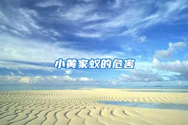 小黃家蟻的危害