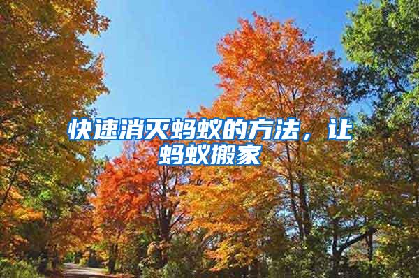 快速消滅螞蟻的方法，讓螞蟻搬家