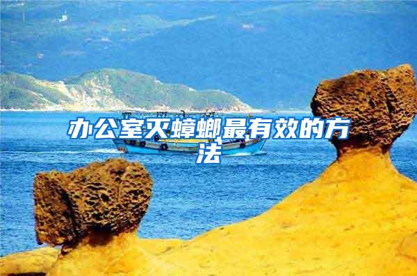 辦公室滅蟑螂最有效的方法