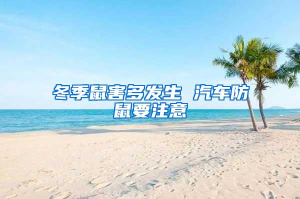 冬季鼠害多發生 汽車防鼠要注意