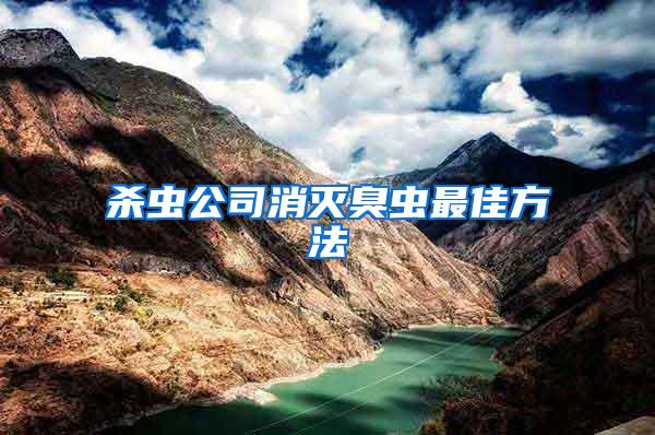 殺蟲公司消滅臭蟲最佳方法