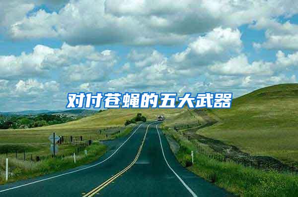 對(duì)付蒼蠅的五大武器
