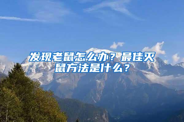 發(fā)現(xiàn)老鼠怎么辦？最佳滅鼠方法是什么？