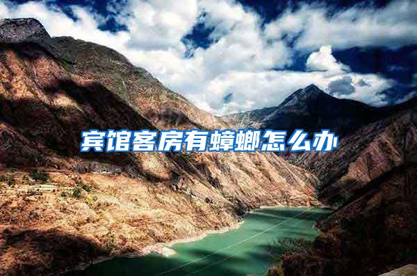 賓館客房有蟑螂怎么辦