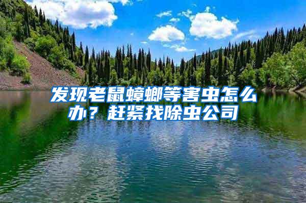 發(fā)現(xiàn)老鼠蟑螂等害蟲怎么辦？趕緊找除蟲公司