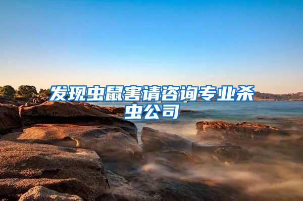 發(fā)現(xiàn)蟲鼠害請咨詢專業(yè)殺蟲公司