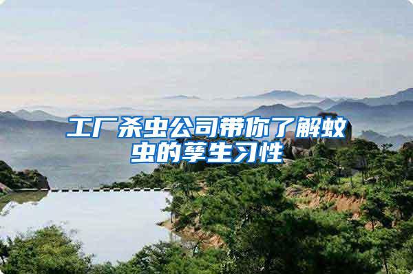 工廠殺蟲公司帶你了解蚊蟲的孳生習性