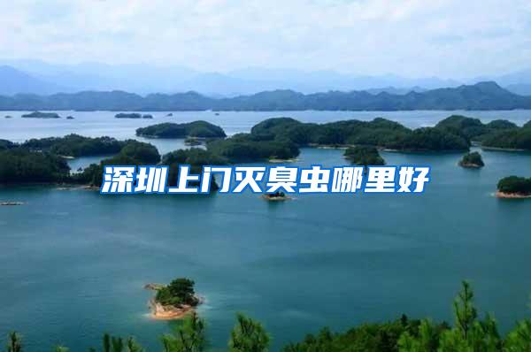 深圳上門(mén)滅臭蟲(chóng)哪里好