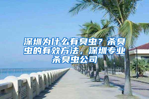 深圳為什么有臭蟲？殺臭蟲的有效方法，深圳專業殺臭蟲公司