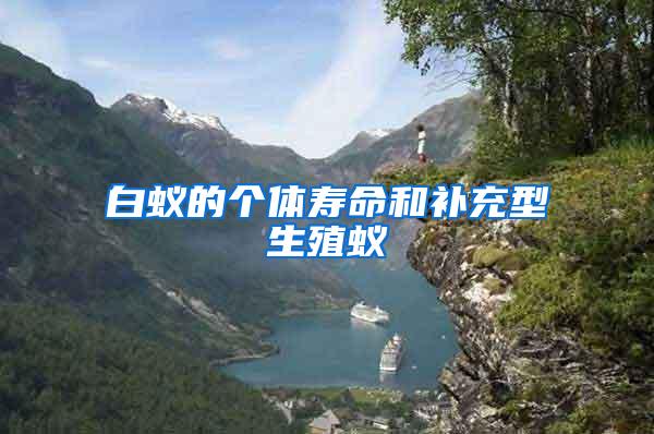 白蟻的個(gè)體壽命和補(bǔ)充型生殖蟻