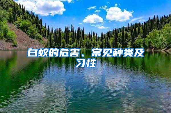 白蟻的危害、常見種類及習(xí)性