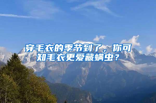 穿毛衣的季節(jié)到了，你可知毛衣更愛藏螨蟲？