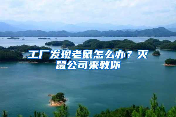 工廠發現老鼠怎么辦？滅鼠公司來教你