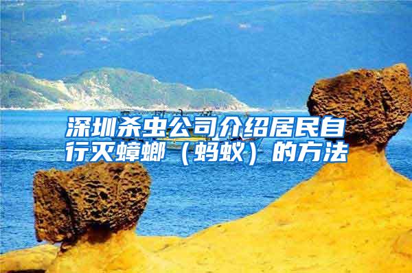 深圳殺蟲公司介紹居民自行滅蟑螂（螞蟻）的方法