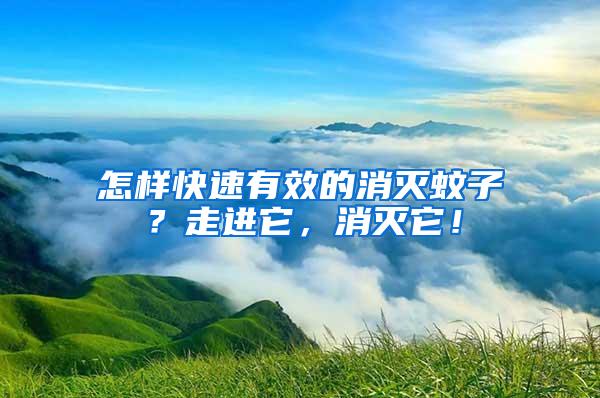 怎樣快速有效的消滅蚊子？走進(jìn)它，消滅它！