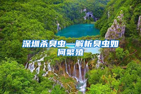 深圳殺臭蟲—解析臭蟲如何繁殖