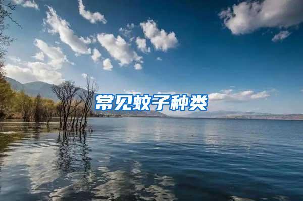 常見(jiàn)蚊子種類