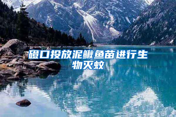磴口投放泥鰍魚苗進行生物滅蚊