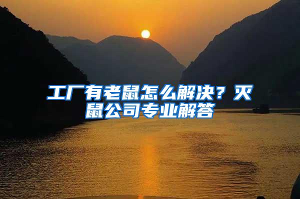 工廠有老鼠怎么解決？滅鼠公司專業解答