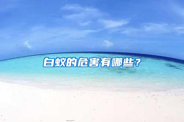 白蟻的危害有哪些？