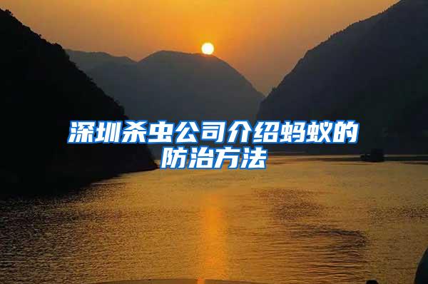 深圳殺蟲公司介紹螞蟻的防治方法