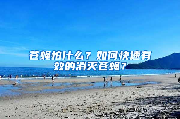 蒼蠅怕什么？如何快速有效的消滅蒼蠅？