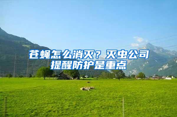 蒼蠅怎么消滅？滅蟲公司提醒防護(hù)是重點(diǎn)