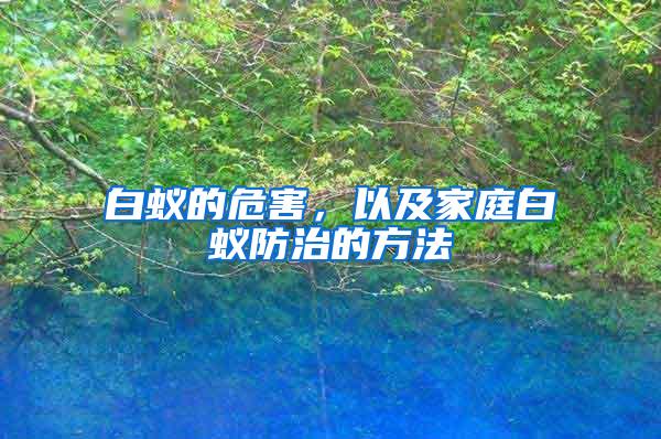 白蟻的危害，以及家庭白蟻防治的方法