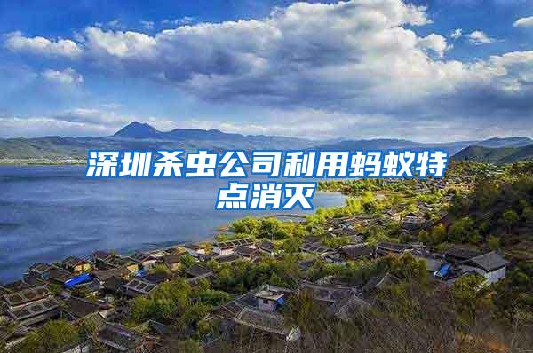 深圳殺蟲公司利用螞蟻特點消滅